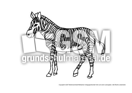 Zebra-1.pdf